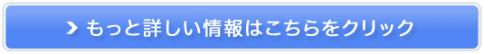 wPCyAQ WZx̔TCg